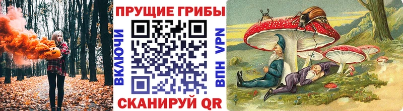 Галлюциногенные грибы Cubensis  Тбилисская 